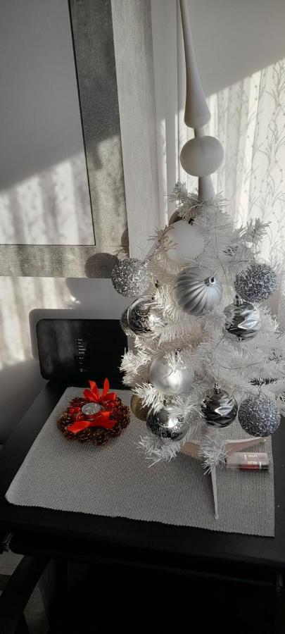 Apartman Lela Károlyváros Kültér fotó